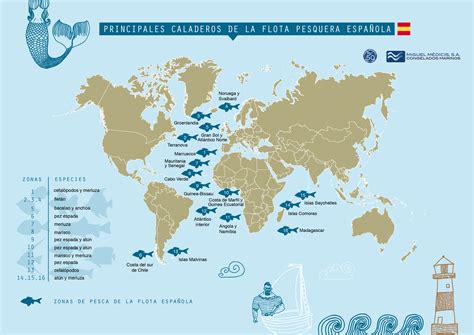 Donde Es Mas Abundante La Pesca En El Mundo Pesca Información