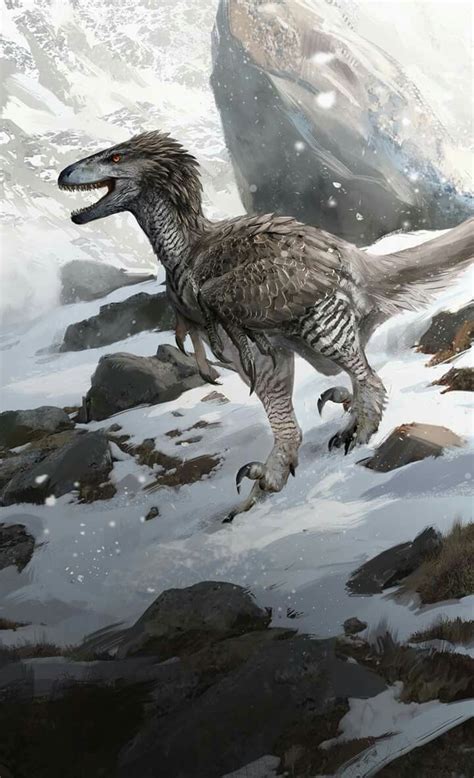 960 x 640 jpeg 129 кб. Raptor in the snow. | Prehistoric | Raptor dinosaur ...