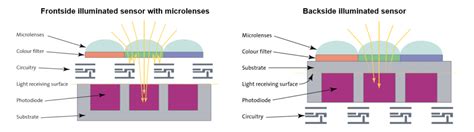 Top Considerations When Buying A Microscopy Camera Part 4 Ccd Or Cmos