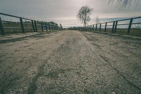 Empty Country Road In Forest Vintage Green Look Stock Image Image