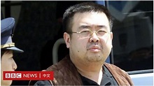 五味洋治：金正男死后，日本警方要给我保护 - BBC News 中文