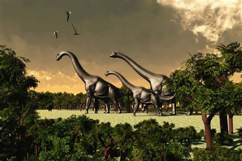 Herbivore Dinosaurs Whats So Cool About Them Types Sizes Facts