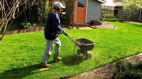 Lawn Care 101 How Much To Cut Irrigate Fertilize National