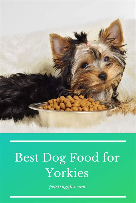 We've put it in price order for you, with customer ratings in the last column. Best Dog Food For Yorkies | Yorkie, Best dog food, Dog ...