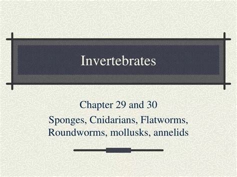 Ppt Invertebrates Powerpoint Presentation Free Download Id2176513