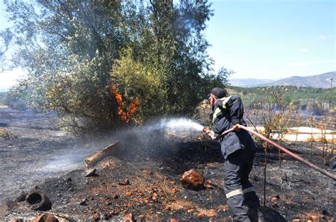 Πυρκαγιά ξέσπασε νωρίτερα στα άνω λιόσια, σε χαμηλή βλάστηση πάνω από το νεκροταφείο. Υπό μερικό έλεγχο η φωτιά στην Άνω Μέλπεια Μεσσηνίας