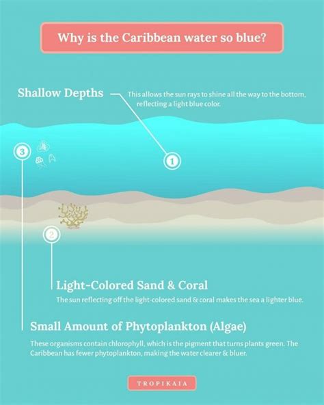 Why Is The Caribbean Water So Blue Explained Tropikaia