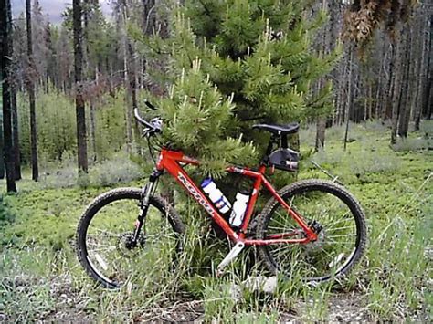 For mountain bikers, there is a network of about 6 miles of mostly intermediate singletrack that can be accessed from the lake accotink fire road. Stillwater Pass Mountain Bike Trail in Grand Lake ...