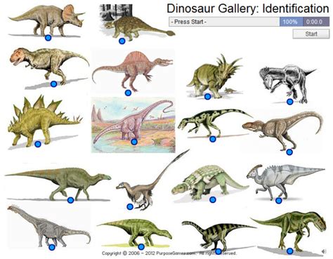 Flooring information on all types of floor coverings including hardwood, laminate, tile, vinyl,cork,bamboo,carpet,garage flooring and basement flooring and. Types of Dinosaurs with Pictures | Dinosaurs Pictures and ...