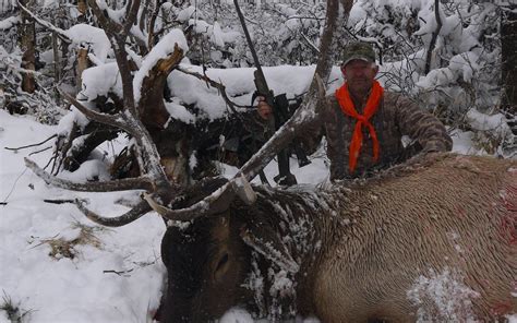 Wyoming Elk Hunting Outfitters Best Of The West Outfitters