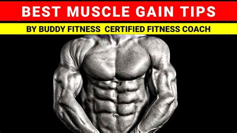 How To Gain Muscle Fast Muscle Gain Tips Buddyfitness Youtube