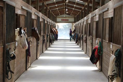 Ventilation Tips For Horse Barns The 1 Resource For