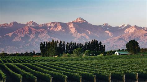 Argentina Wine Country with Christophe Tassan