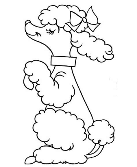 Click the poodle coloring pages to view printable version or color it online (compatible with ipad and android tablets). A Cute Poodle on Action Coloring Page | Dog coloring page ...