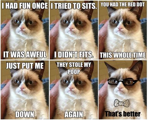 Grumpy cat es un famoso meme o viral, que consiste en fotos de un gato con cara de gruñón, a menudo acompañadas de frases humorísticas. 'Grumpy Cat', One Of The Internet's Most Popular Memes ...