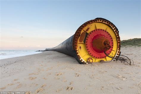 Beachgoers Shocked After Giant Pipes Wash Up On Uk Shores Daily Mail