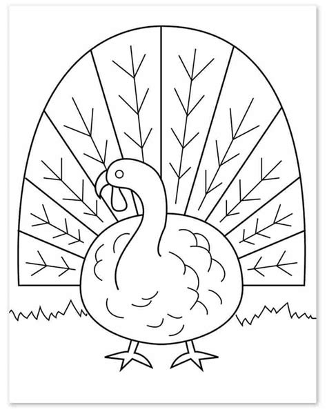 How To Draw A Turkey · Art Projects For Kids