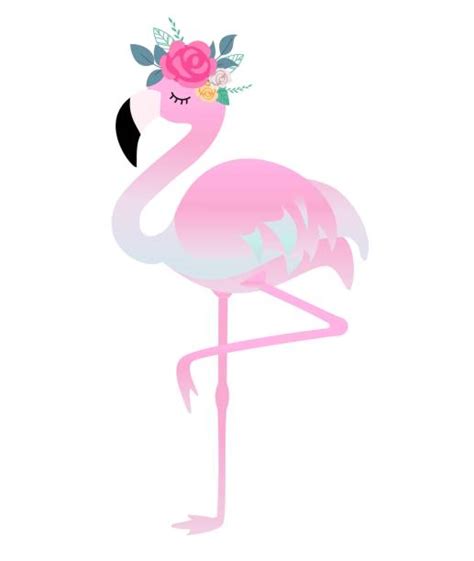 Top A Of A Flamingo Cartoon Clip Art Vector Graphics And