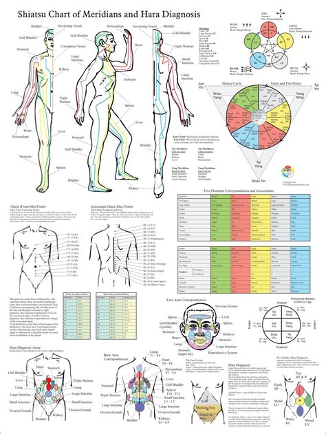 shiatsu chart of acupuncture meridians and hara diagnosis etsy acupuncture points acupressure