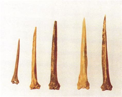 Bone Tools