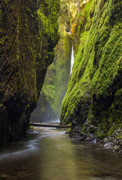 Oneonta Gorge Trail In Columbia River Gorge Oregon Stock