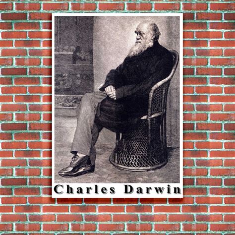Charles Darwin Engraving Portrait Poster Just Posters