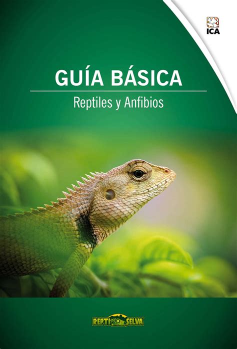 Guía Básica De Reptiles Y Anfibios — Ica Sa