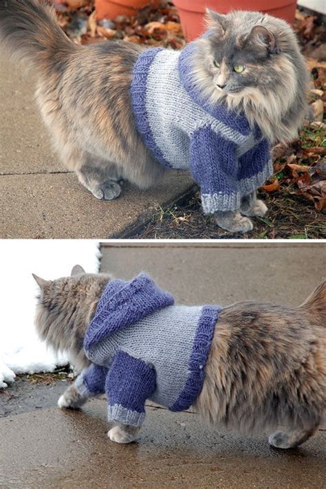 Free Knitting Pattern For Cat Hoodie Cat Sweater With Hood Which Is