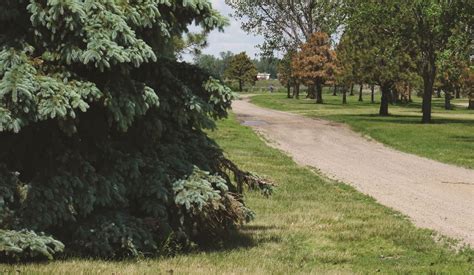 Conservation photographer, author, great plains drifter, craniac | ilcp srfellow. Forsberg Park | Watertown, SD - Official Website