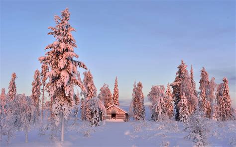 Wooden House In Winter Forest Mac Wallpaper Download Allmacwallpaper