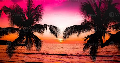 beautiful sunset on the tropical sea beach silhouette of palm trees on pink sky background for