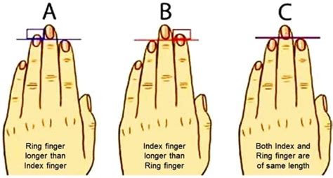 Five Fingers Sizing Chart