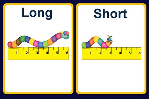 Long And Short Concept For Kindergarten Clip Art Library