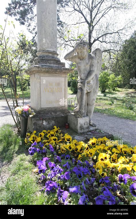 St Marxer Cemetery Gravestone Wolfgang Amadeur Mozart Grave Pansy Stock