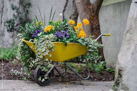 Pin By Melpo Siouti On Spring Yellow Planting Flowers Plants Garden