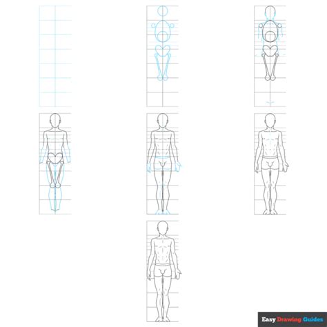 Anime Male Body Structure