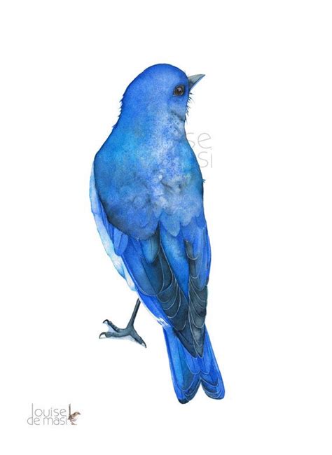 Bluebird Print Of Watercolour Painting A4 Size By Louisedemasi