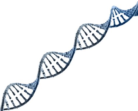 Dna Png Png All