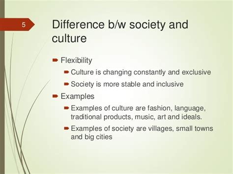 Relationship Between Culture And Society