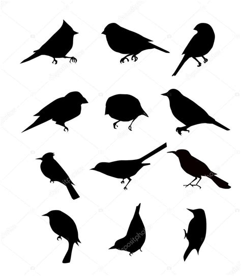Birds Set Stock Vector Image By ©samillustration 53163145