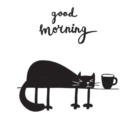 Good Morning Cat