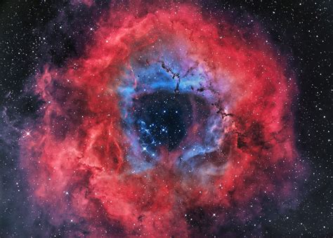 The Rosette Nebula Ngc 2237 9 Nebula Nebula Wallpaper Orion Nebula