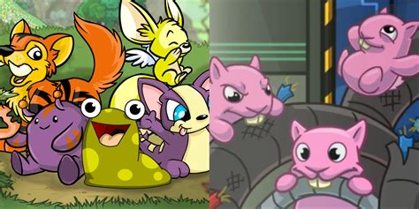 The Best Petpets In Neopets
