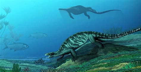 228 Million Year Old Fossil Reveals Complex Early History Of Turtles