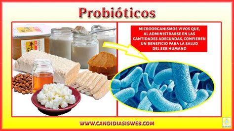 Qué son los probióticos