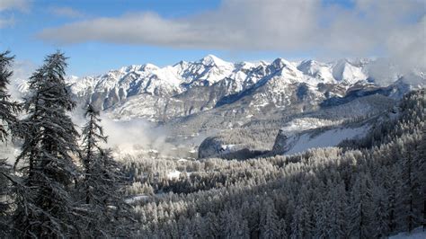 Forest Surrounded With Mountains Snow Mountains Forest Landscape Hd