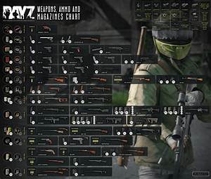 Dayztips Weapons Ammo Chart 1 17 R Dayz