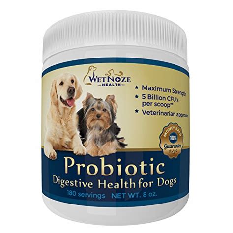 Probiotics For Dogs Relief From Diarrhea Constipation Allergies Bad