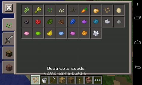Now just paste the.zip file you copied earlier. Beetroot seeds? : Minecraft