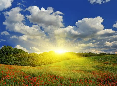 Sunrise Over The Spring Meadow Royalty Free Stock Photo Image 29179905